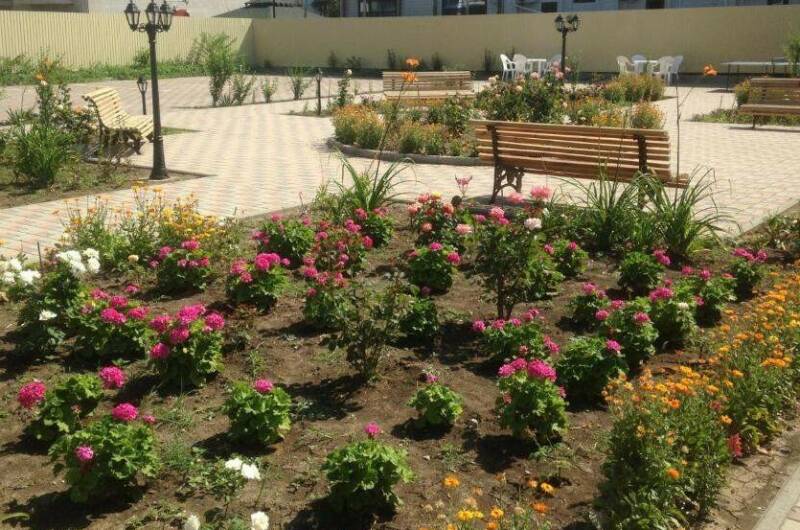 Изображение Изображение гостиницы &quot;Отель «Золотой берег»&quot; #2 #2