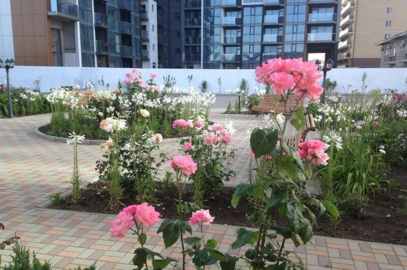 Изображение Изображение гостиницы &quot;Отель «Золотой берег»&quot; #6 #6