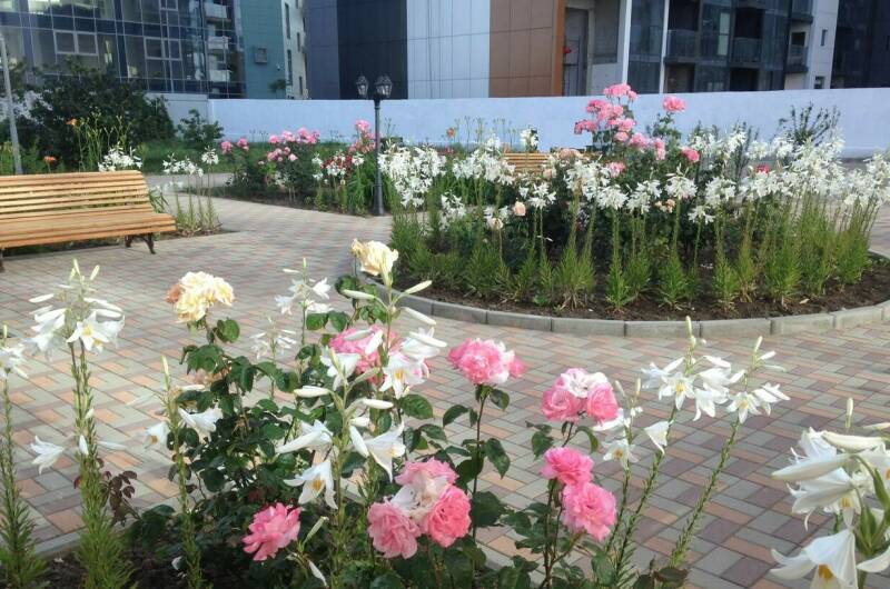 Изображение Изображение гостиницы &quot;Отель «Золотой берег»&quot; #7 #7