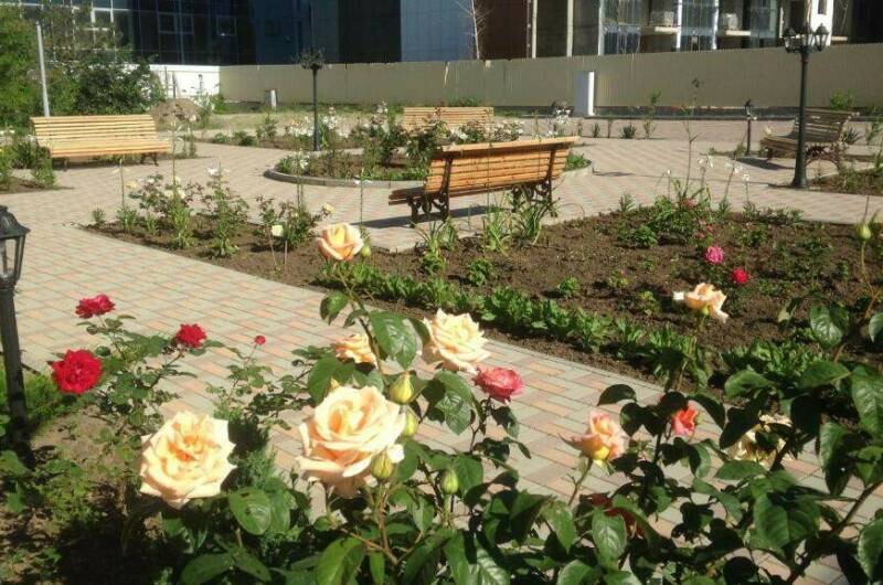 Изображение Изображение гостиницы &quot;Отель «Золотой берег»&quot; #8 #8