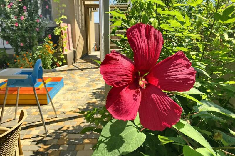 Изображение Изображение гостиницы &quot;Частный сектор на Цветочной&quot; #7 #7