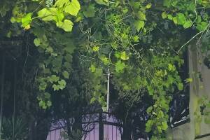 Изображение гостиницы "Гостевой дом «Уют»"