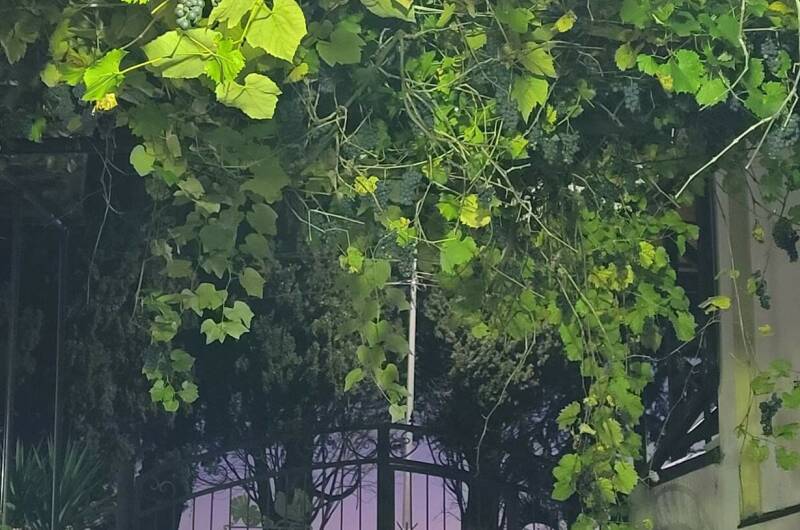 Изображение Изображение гостиницы &quot;Гостевой дом «Уют»&quot; #1 #1