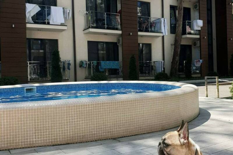 Изображение Изображение квартиры "Апартаменты в ЖК «Мадрид Парк 2»" #8 #8