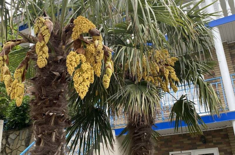 Изображение Изображение гостиницы "Гостевой дом «Утес»" #5 #5