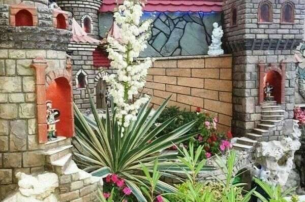 Изображение Изображение отеля / гостиницы "Гостевой дом «Миг»" #10 #8