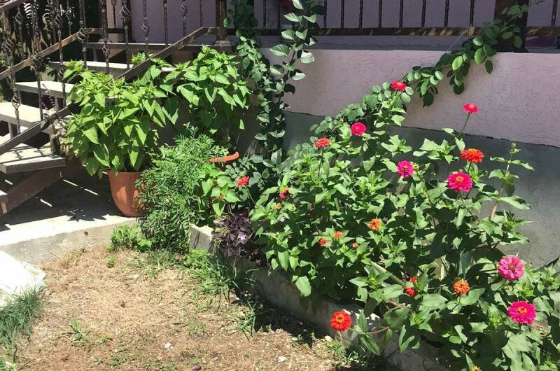 Изображение Изображение гостиницы &quot;Частный сектор «У Ребеки»&quot; #5 #5