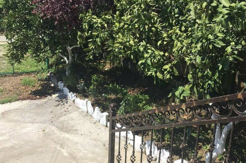 Изображение Изображение отеля / гостиницы "Частный сектор «У Ребеки»" #10 #8