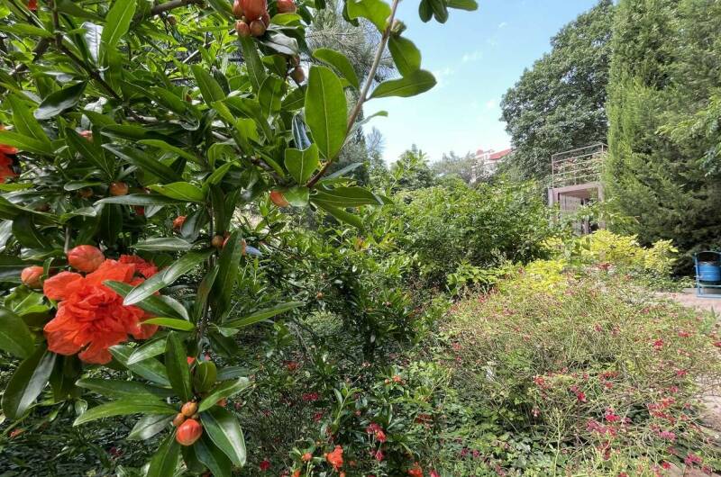 Изображение Изображение квартиры "Коттедж под ключ с питанием на 8 человек" #3 #3