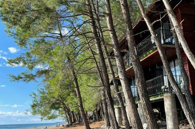 Изображение Изображение гостиницы &quot;Отель «Mon Ami»&quot; #5 #5