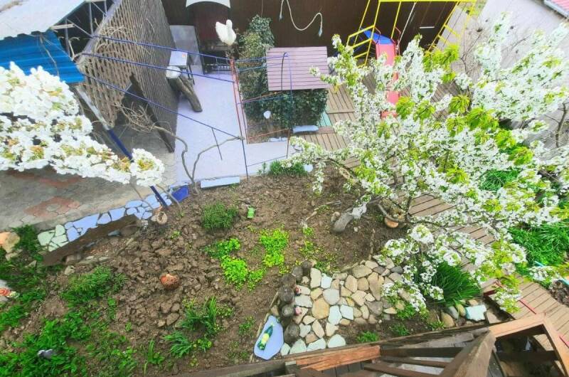 Изображение Изображение гостиницы "Гостевой дом «Елизавета»" #7 #7