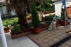 Изображение гостиницы "Гостевой дом «ЛайМ»"