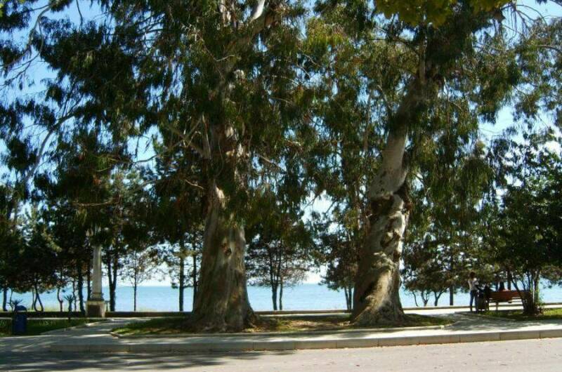 Изображение Изображение гостиницы "Гостевой дом «Анна»" #4 #4