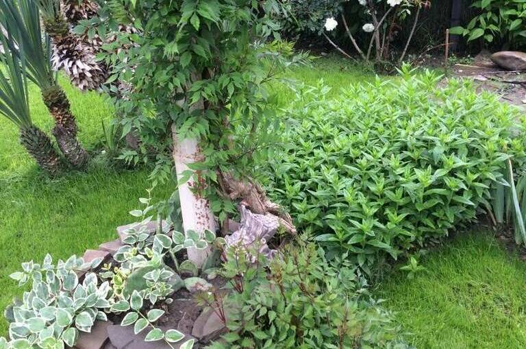 Изображение Изображение гостиницы "Гостевой дом «РоманТиС»" #5 #5