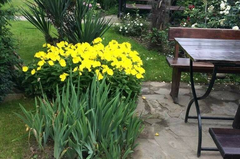 Изображение Изображение гостиницы "Гостевой дом «РоманТиС»" #6 #6