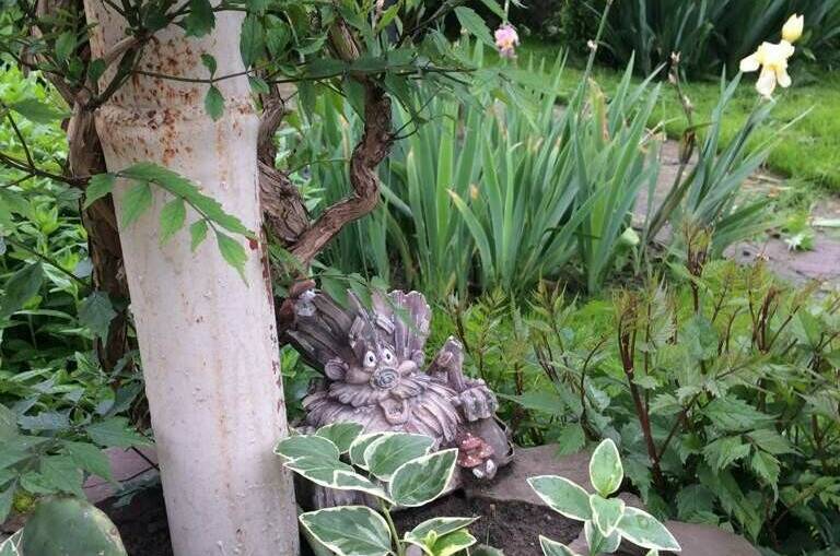 Изображение Изображение гостиницы "Гостевой дом «РоманТиС»" #8 #8