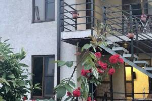 Изображение отеля / гостиницы "Гостевой дом «Imran&amp;Azamat»"