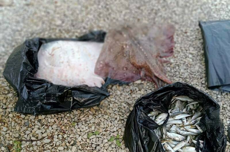 Изображение Изображение гостиницы &quot;Гостевой дом «Лилия»&quot; #4 #4