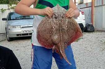 Изображение Изображение гостиницы &quot;Гостевой дом «Лилия»&quot; #8 #8