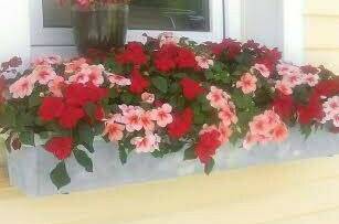 Изображение Изображение отеля / гостиницы "Гостевой дом «Лилия»" #10 #8