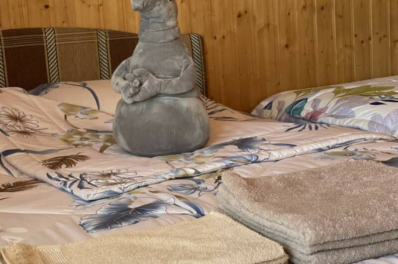 Изображение Изображение отеля / гостиницы "Гостевой дом «Лилия»" #11 #9