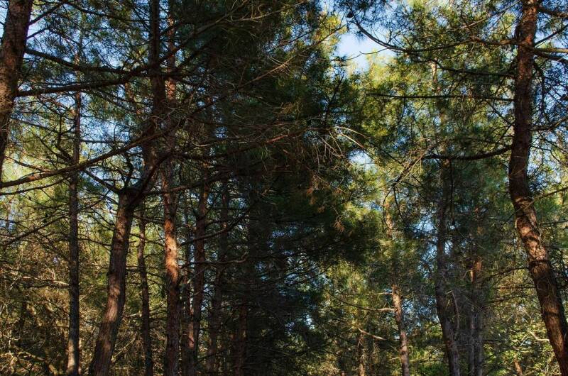 Изображение Изображение гостиницы "Гостевой дом «Надежда у моря»" #4 #4