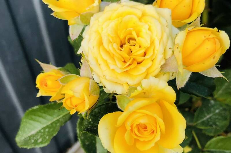 Изображение Изображение гостиницы &quot;Частный дом «На Советской»&quot; #7 #7