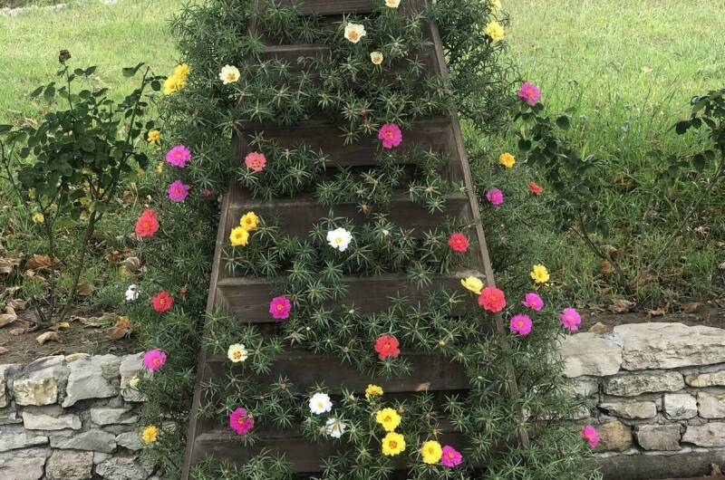 Изображение Изображение отеля / гостиницы "База отдыха «Скурча»" #11 #9