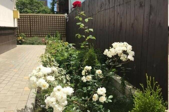 Изображение Изображение гостиницы &quot;Гостевой дом «Палладион»&quot; #8 #8