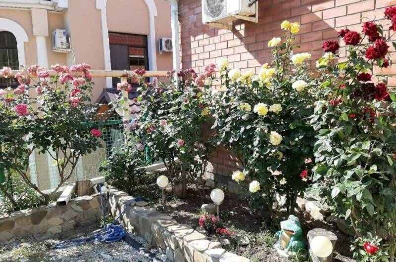 Изображение Изображение гостиницы &quot;Частный сектор «Розовый сад»&quot; #6 #6