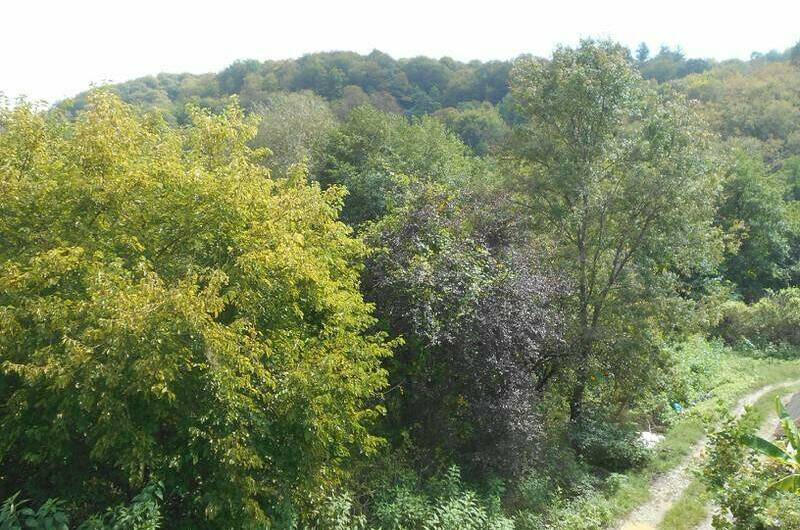 Изображение Изображение гостиницы "Гостевой дом «АВ»" #6 #6