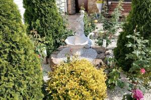 Изображение гостиницы "Гостевой дом «Виола»"