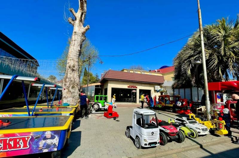 Изображение Изображение отеля / гостиницы "Вилла «Мандарин»" #10 #8