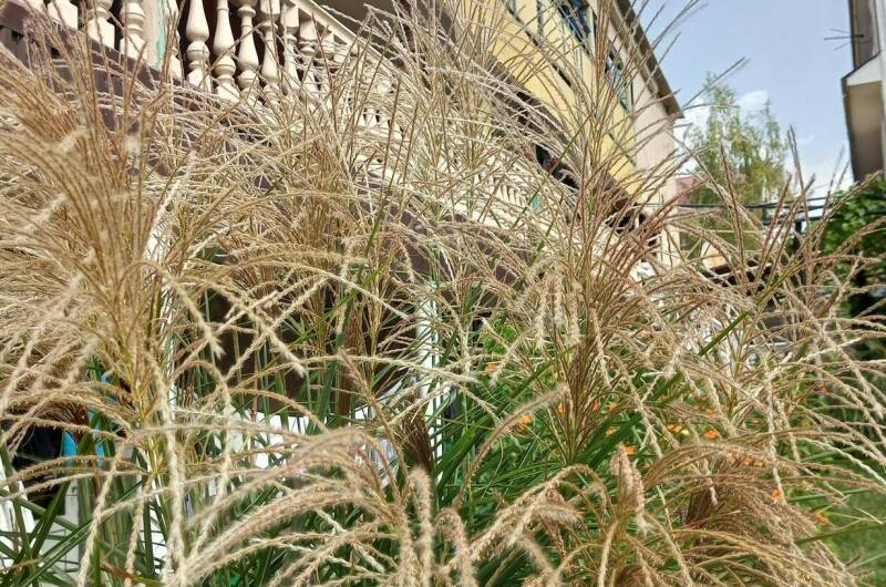 Изображение Изображение гостиницы "Гостевой дом «Велес»" #6 #6