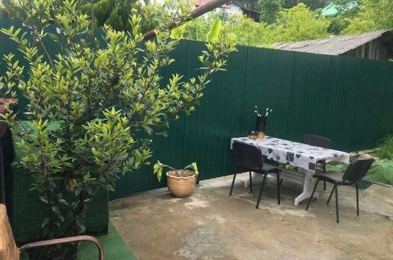 Изображение Изображение гостиницы "Гостевой дом «Bamboo dom»" #3 #3