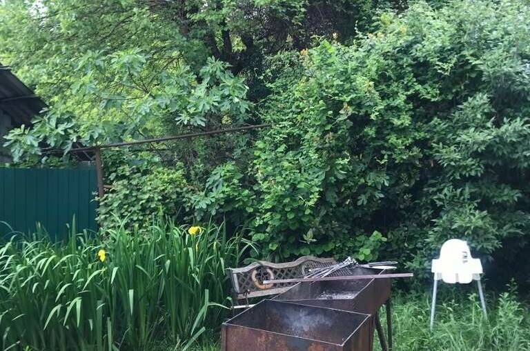 Изображение Изображение гостиницы "Гостевой дом «Bamboo dom»" #6 #6