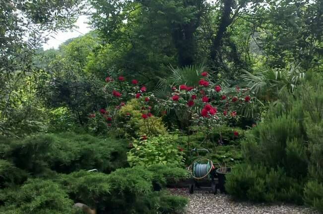 Изображение Изображение гостиницы &quot;Гостевой дом «Виктор и Я»&quot; #3 #3