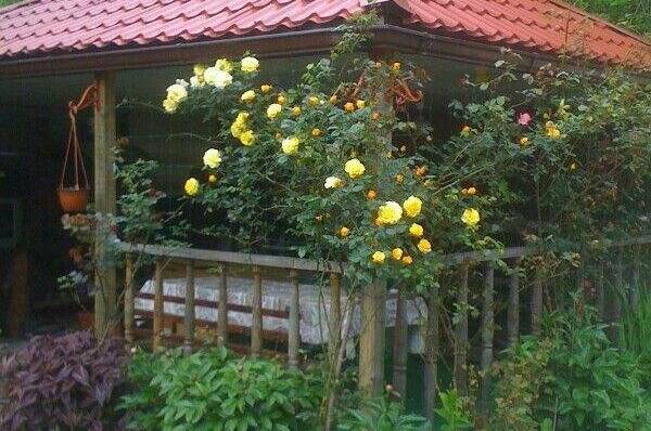 Изображение Изображение гостиницы &quot;Гостевой дом «Виктор и Я»&quot; #5 #5