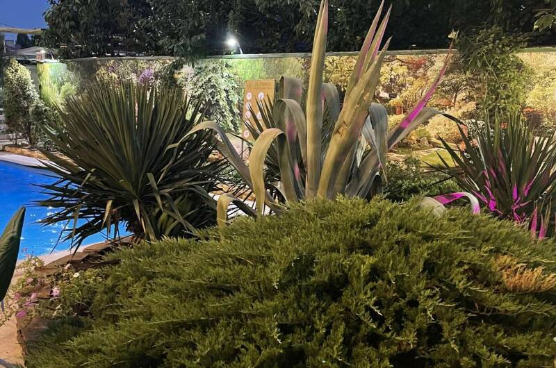 Изображение Изображение гостиницы &quot;Гостевой дом «Villa Vitaliya»&quot; #6 #6