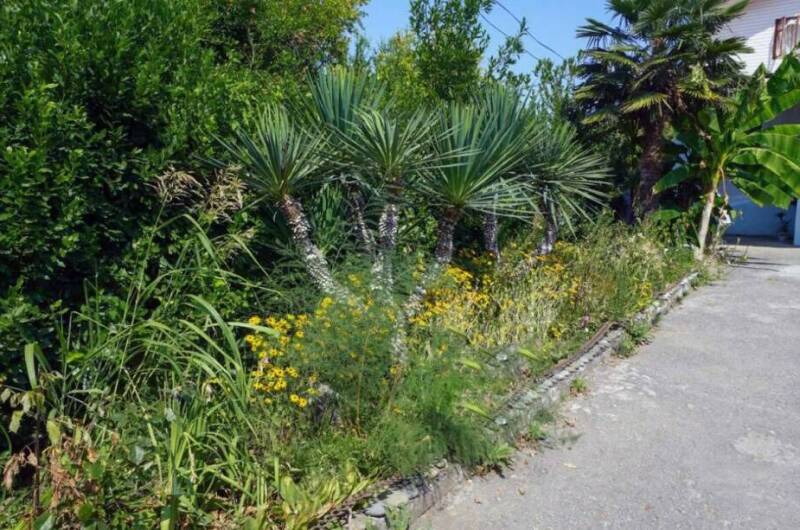 Изображение Изображение гостиницы &quot;Гостевые домики «Алла Иосиф»&quot; #2 #2