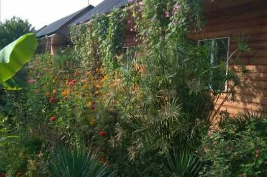 Изображение Изображение гостиницы &quot;Гостевые домики «Алла Иосиф»&quot; #5 #5