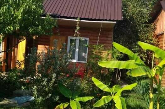 Изображение Изображение гостиницы &quot;Гостевые домики «Алла Иосиф»&quot; #6 #6