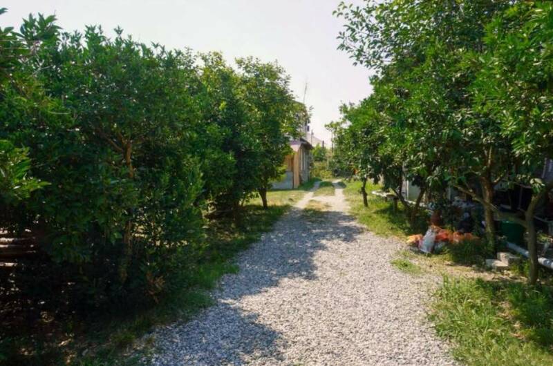 Изображение Изображение отеля / гостиницы "Гостевые домики «Алла Иосиф»" #11 #9