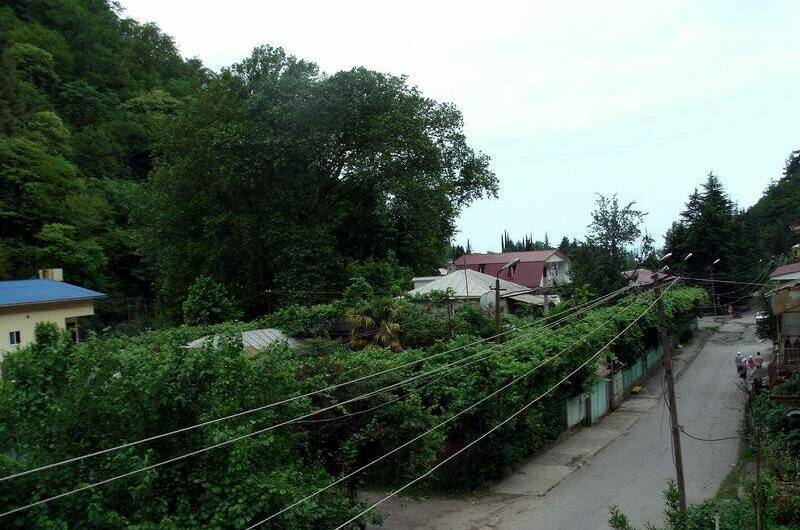 Изображение Изображение отеля / гостиницы "Частный дом в Жоэкварском ущелье" #4 #4