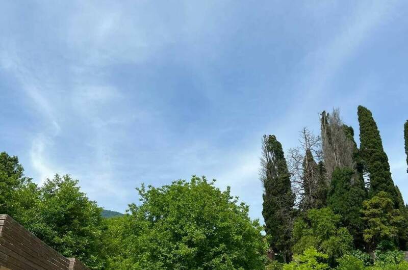 Изображение Изображение гостиницы &quot;База отдыха «Land of Soul»&quot; #4 #4