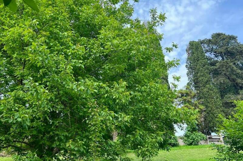 Изображение Изображение отеля / гостиницы "База отдыха «Land of Soul»" #10 #8