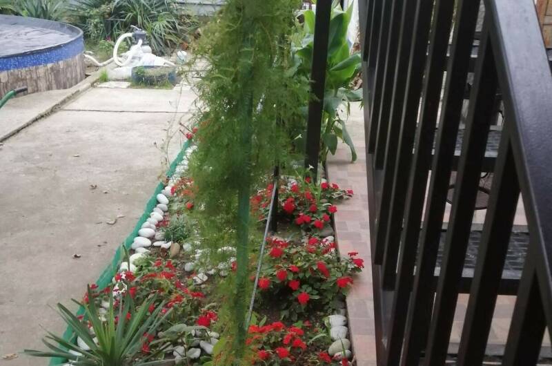 Изображение Изображение гостиницы &quot;Гостевой дом «Пальмира»&quot; #6 #6