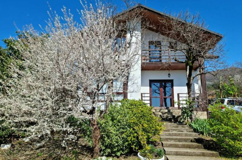 Изображение Изображение гостиницы "Гостевой дом «Цитрус»" #1 #1