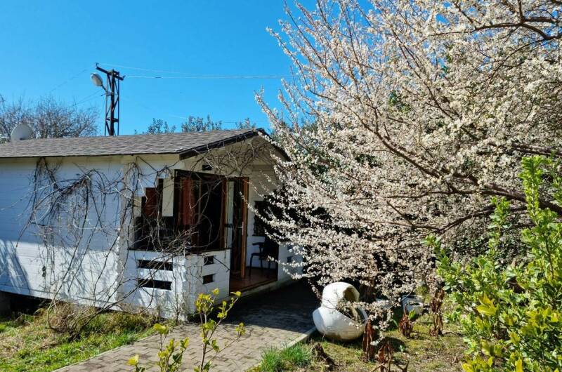 Изображение Изображение гостиницы "Гостевой дом «Цитрус»" #6 #6