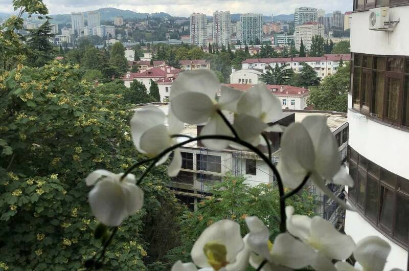 Изображение Изображение квартиры / апартамента "Апартаменты «Vinograd»" #10 #8